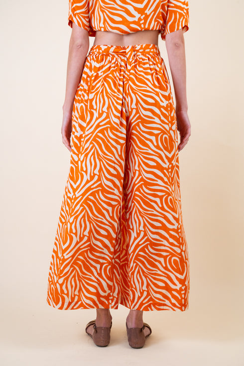 Y Why Pants Zebra
